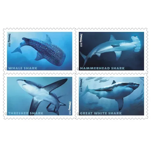 Sharks 2017 - 5 Sheets 100 Pcs Unused Stamps for Mailing